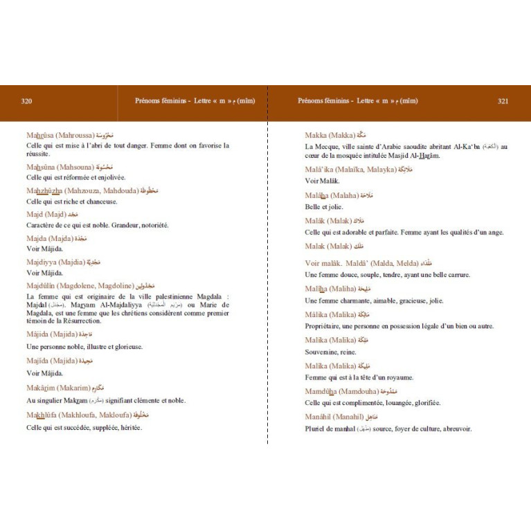 Dictionnaire des prénoms arabes et musulmans (Plus de 4000 prénoms)