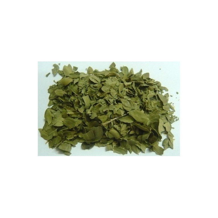 Feuilles de Jujubier - Sidr - 50g - Nigelle Source